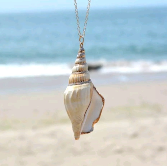 Sea Shell Pendant Necklace Beach Charm - Picture 2 of 4